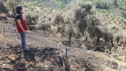 Yeşilyurt’taki yangında zarar gören tarım alanlarında hasar tespit çalışması yapıldı