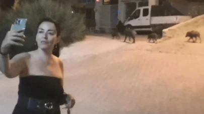 Ege’de yeni moda başladı