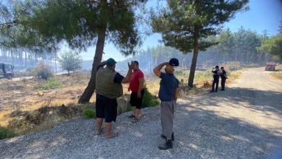 "Yaklaşık 20 dönüm yeni ekili ormanlık alan zarar gördü"