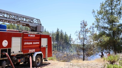 Büyükşehir İtfaiyesi'nden orman yangınlarına müdahale