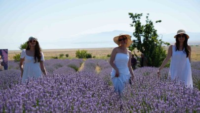 Lavanta tarlalarında mor bir şölen: Festival hasatla başladı, koku atölyeleri mest etti