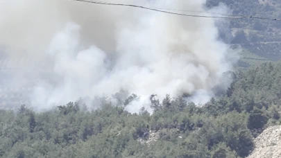 Antalya'da orman yangını
