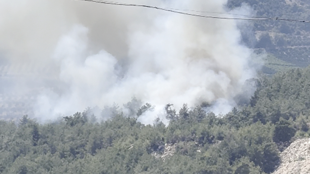 Antalya'da orman yangını