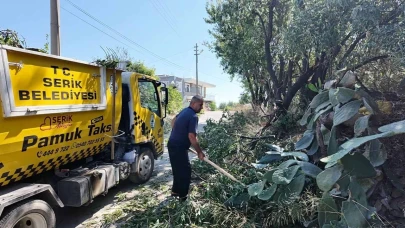 Serik'te trafik ve çevre düzenine yönelik çalışma