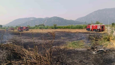 Ortaca’da sazlık yangını