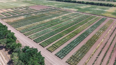 TİGEM’de üretilen tohumların yüzde 45’i kuraklığa dayanıklı