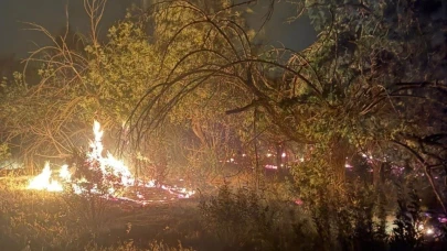 Mersin’de üç noktada çıkan yangın kontrol altına alındı