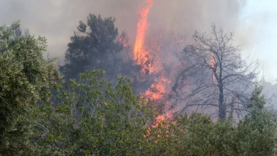 Antalya'da 9 günde 14 orman yangını