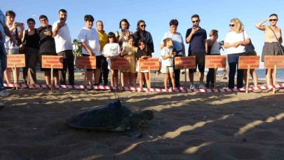 Uydu cihazı takılan kaplumbağa ’Soli’ denize bırakıldı