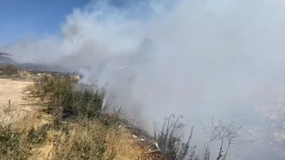 Mersin’de 2 ilçede orman yangını