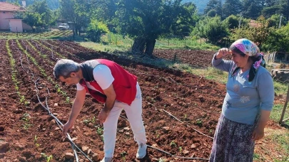 Menteşe’de tarım ekiplerinden ürün kontrolü ve çiftçi ziyareti gerçekleştirildi