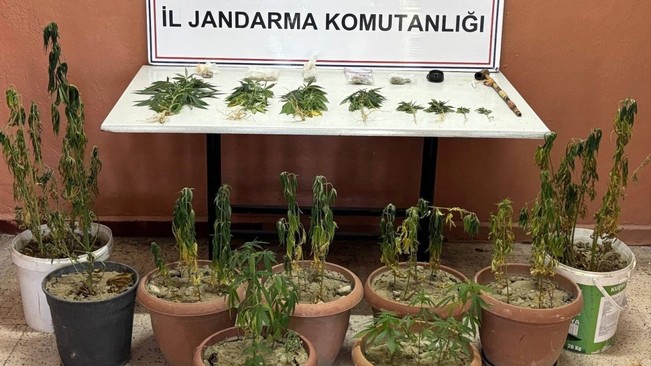 Isparta'da uyuşturucu operasyonu