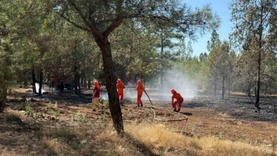 Ormanda meydana gelen yangına çevirme