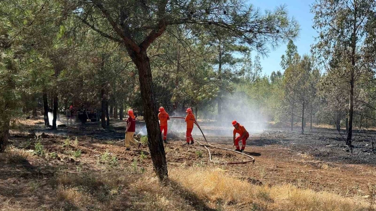 Ormanda meydana gelen yangına çevirme