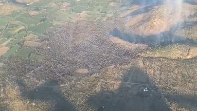 Milas'taki zeytinlik yangını 12 saatte kontrol altına alındı