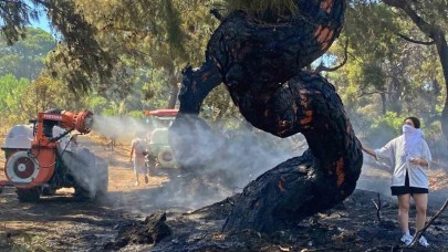 Antalya’daki orman yangınında duygulandıran anlar