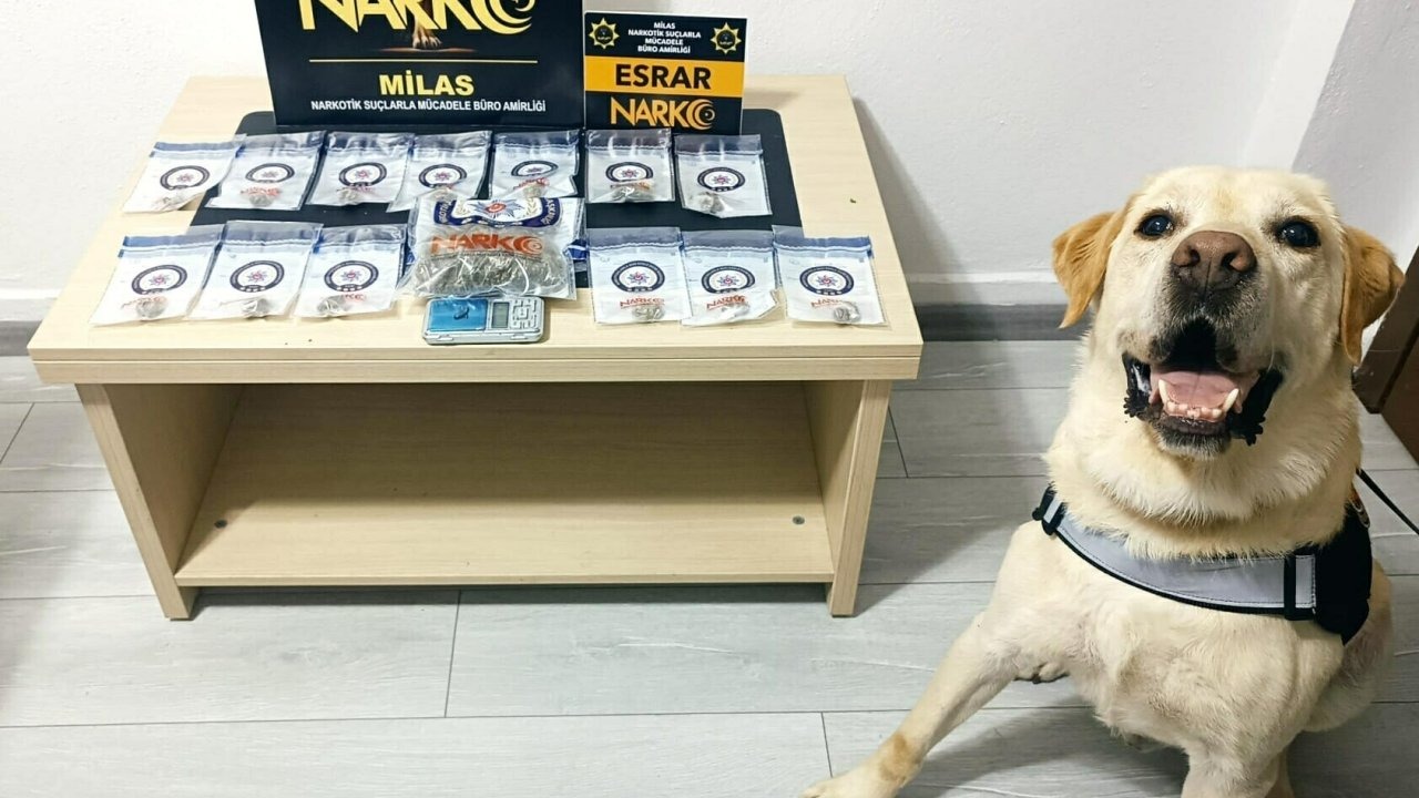 Muğla'da uyuşturucu operasyonlarında 5 tutuklama