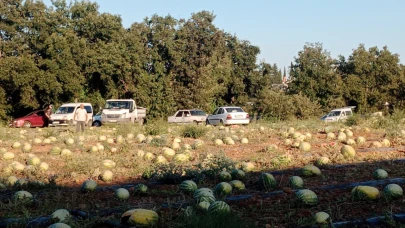 Tarladaki 120 ton karpuzunu hayrına dağıttı