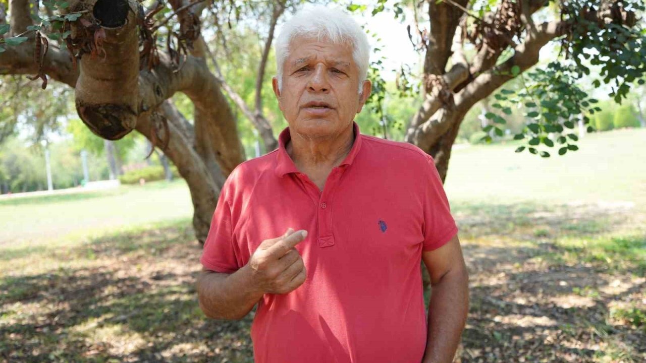 Denizin Posidonia’ları yok oluyor!