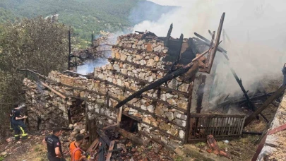 Anızda çıkan yangın asırlık düğmeli evleri küle döndürdü