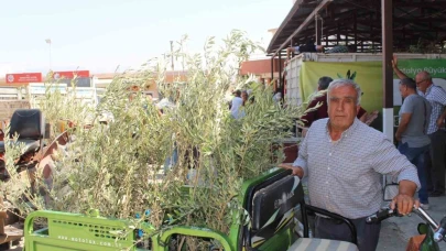 Büyükşehir’den 19 ilçeye 40 bin zeytin fidanı desteği