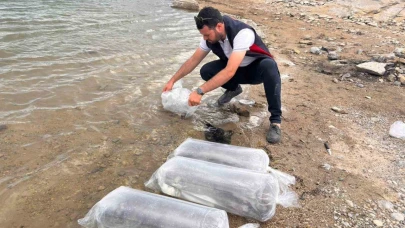 Gölhisar Gölü ve Yapraklı Barajı’na 5 bin yayın ve sazan balığı bırakıldı