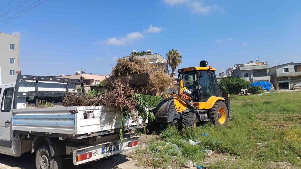 Akdeniz’de moloz ve yabani ot temizliği sürüyor