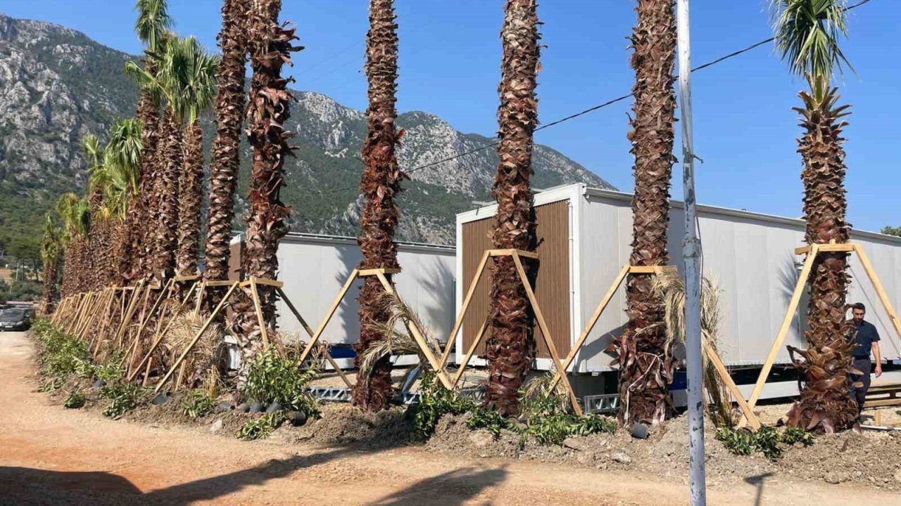 Menteşe Belediyesi Akbük’te 11 Tiny House’u mühürledi