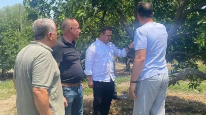 Tarıma yerinde rehberlik üreticilerin sorunları dinlendi, çözüm önerileri sunuldu