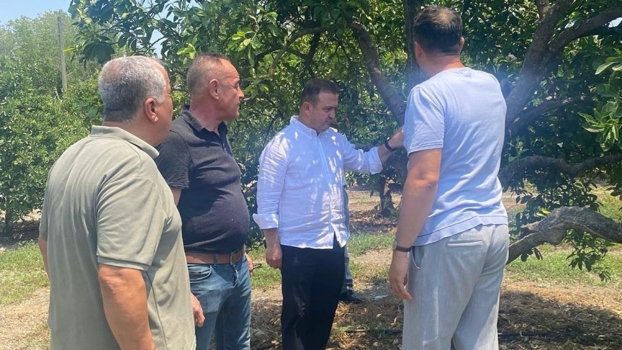 Tarıma yerinde rehberlik üreticilerin sorunları dinlendi, çözüm önerileri sunuldu