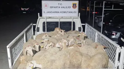 32 küçükbaş hayvanı çalıp kaçtı, takiple yakalandılar