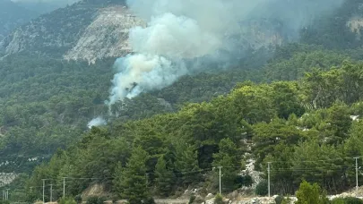 Orman yangını büyümeden söndürüldü