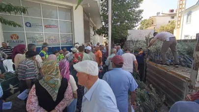 Antalya'da 19 ilçede zeytin seferberliği