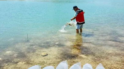 Korkuteli’nde 60 bin sazan balığı doğaya bırakıldı