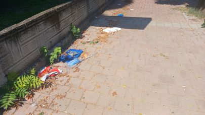 Mahalle bakımsızlığıyla dikkat çekiyor!