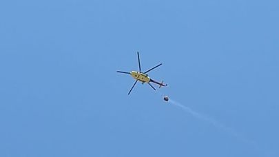 Antalya’da ormanlık alanda yangın çıktı!