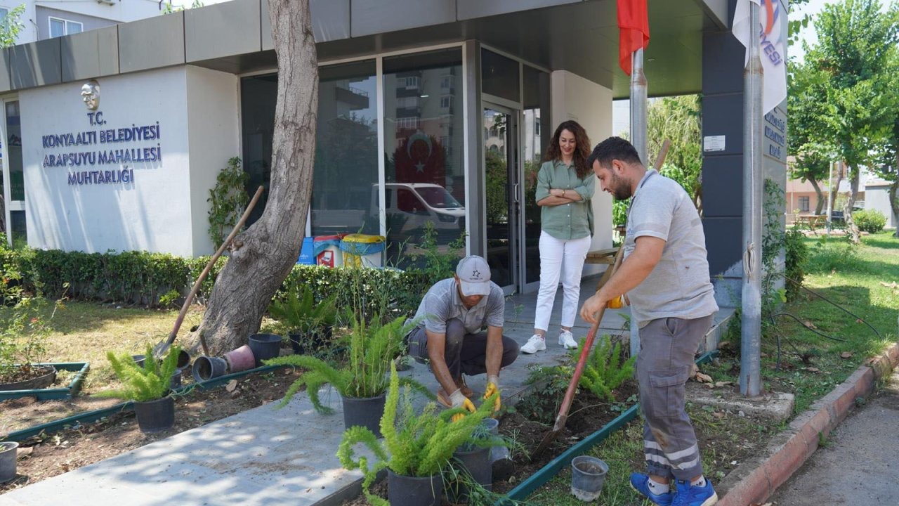 Konyaaltı'nda muhtarlık binaları çiçeklendiriliyor