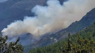 Gazipaşa’da ormanlık alanda yangın