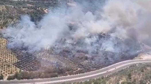 Muğla'da tarım arazisinde yangın