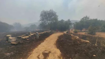 Muğla’daki yangın Stratonikia Antik kentindeki zirai alanda etkili oluyor