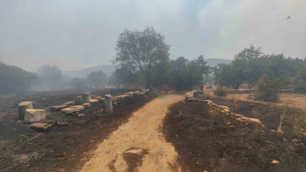 Muğla’daki yangın Stratonikia Antik kentindeki zirai alanda etkili oluyor