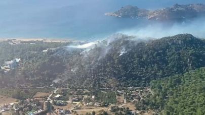 Muğla'da orman yangını