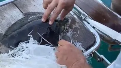 Çuvala dolanan caretta carettayı kurtardı