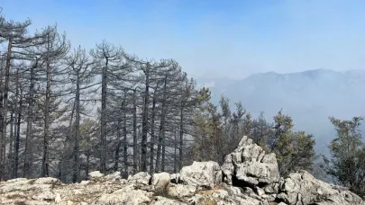Antalya'da 2 orman yangını sürüyor; 1'i kontrol altında