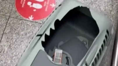 Uçağın kargo bölümüne verdiği evcil hayvanlarını teslim alınca çılgına döndü