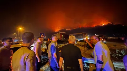 AFAD: Orman yangınlarında 119 hava, 1537 kara aracı görev yapmaktadır