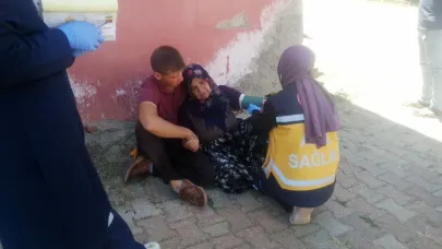 Komşusunun odunluğunun yanışını gören yaşlı kadın panikleyip baygınlık geçirdi