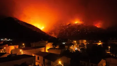 Yerlikaya: Orman yangınlarıyla ilgili 7 şüpheli şahıs gözaltına alındı