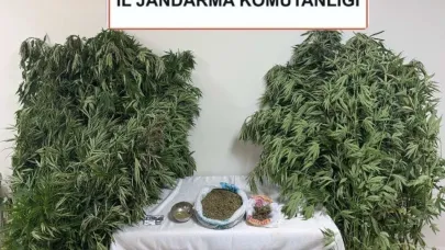 Karabağlar Yaylası’nda uyuşturucu operasyonu: 1 gözaltı