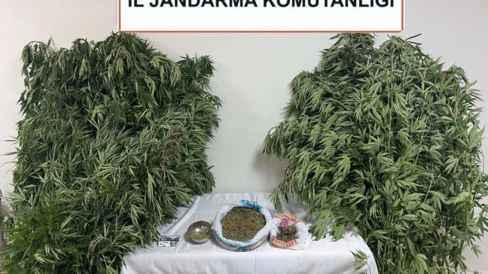 Karabağlar Yaylası’nda uyuşturucu operasyonu: 1 gözaltı